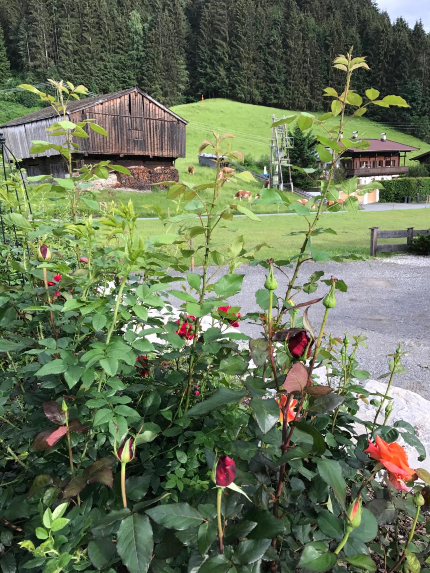 Das Kitz Jochberg Esterno foto